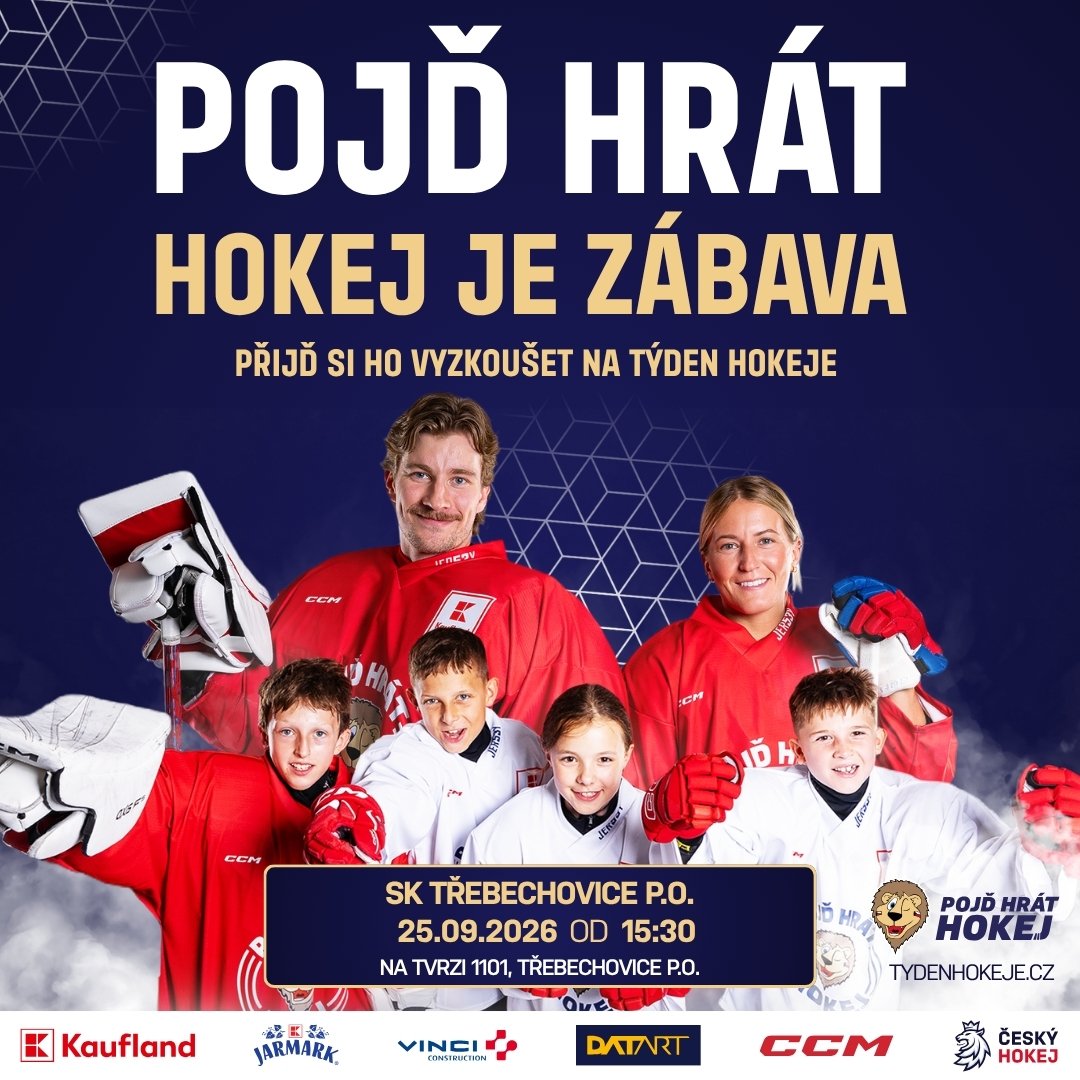 T�dne hokeje